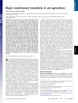 Major Evolutionary Transitions in Ant Agriculture SEE COMMENTARY