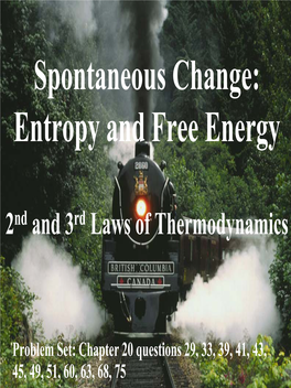 Entropy and Free Energy