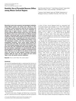 Dendritic Size of Pyramidal Neurons Differs Among Mouse Cortical