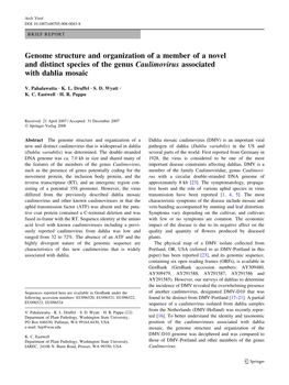 Genome Structure and Organization of a Member of a Novel and Distinct Species of the Genus Caulimovirus Associated with Dahlia Mosaic