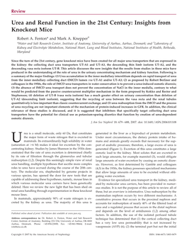 Urea and Renal Function in the 21St Century: Insights from Knockout Mice