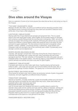 Dive Sites Around the Visayas