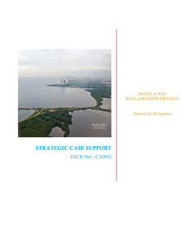 Strategic Case Support