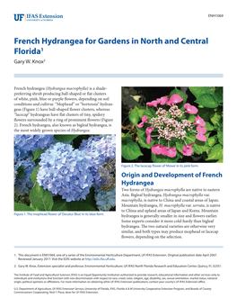 French Hydrangea for Gardens in North and Central Florida1 Gary W