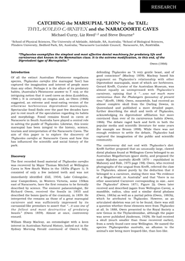 THYLACOLEO CARNIFEX and the NARACOORTE CAVES Michael Curry, Liz Reed1,2 and Steve Bourne3