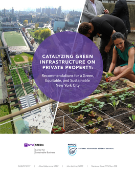 CATALYZING GREEN INFRASTRUCTURE on PRIVATE PROPERTY: Recommendations for a Green, Equitable, and Sustainable New York City