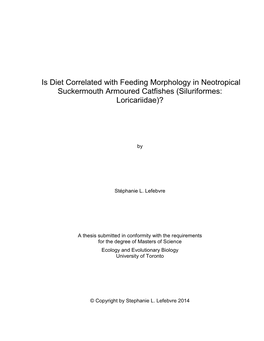 Is Diet Correlated with Feeding Morphology in Neotropical Suckermouth Armoured Catfishes (Siluriformes: Loricariidae)?