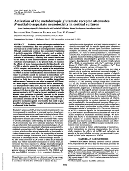 Activation of the Metabotropic Glutamate Receptor Attenuates N