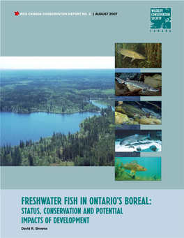 FRESHWATER FISH in ONTARIO's BOREAL: STATUS, CONSERVATION and POTENTIAL IMPACTS of Development David R