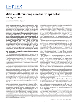 Mitotic Cell Rounding Accelerates Epithelial Invagination