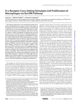 Fc Receptor Cross-Linking Stimulates