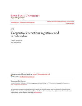 Cooperative Interactions in Glutamic Acid Decarboxylase David Lavern Witte Iowa State University