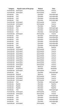 Category Popular Name of the Group Phylum Class Invertebrate