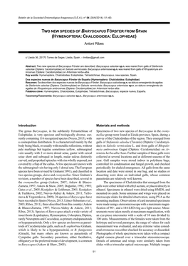 Two New Species of Baryscapus Förster from Spain (Hymenoptera: Chalcidoidea: Eulophidae)