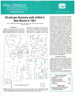 Oil and Gas Discovery Wells Drilled in New Mexico in 1981