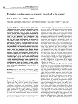 Cortactin: Coupling Membrane Dynamics to Cortical Actin Assembly