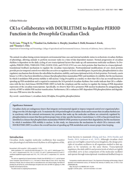 Ck1α Collaborates with DOUBLETIME to Regulate PERIOD