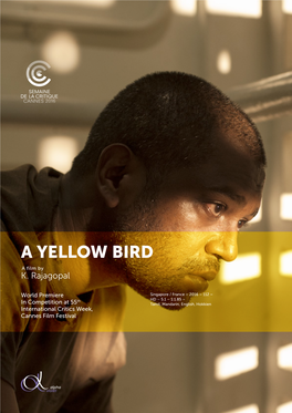 A Yellow Bird a Film by K