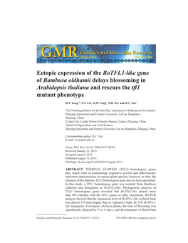 Ectopic Expression of the Botfl1-Like Gene of Bambusa Oldhamii Delays Blossoming in Arabidopsis Thaliana and Rescues the Tfl1 Mutant Phenotype