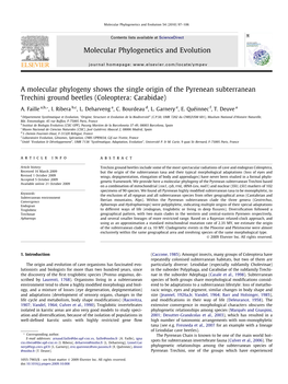 A Molecular Phylogeny Shows the Single Origin of the Pyrenean Subterranean Trechini Ground Beetles (Coleoptera: Carabidae)