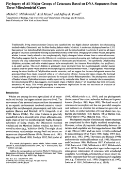 Phylogeny of All Major Groups of Cetaceans Based on DNA Sequences from Three Mitochondrial Genes