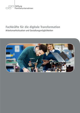 Fachkräfte Für Die Digitale Transformation