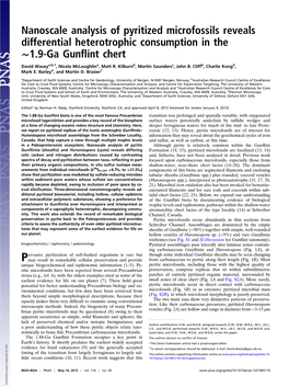 Nanoscale Analysis of Pyritized Microfossils Reveals Differential Heterotrophic Consumption in the ∼1.9-Ga Gunﬂint Chert