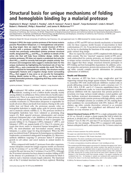 Structural Basis for Unique Mechanisms of Folding and Hemoglobin Binding by a Malarial Protease