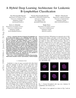 A Hybrid Deep Learning Architecture for Leukemic B-Lymphoblast Classiﬁcation