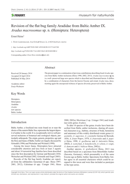 ﻿Revision of the Flat Bug Family Aradidae from Baltic Amber IX