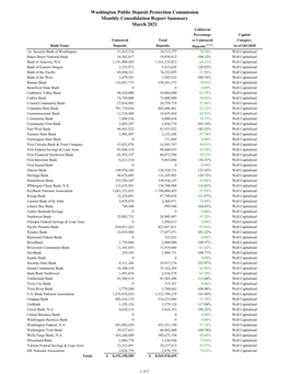 Monthly Consolidation Report Summary 2021-03.Xlsx