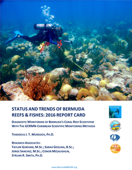 BREAM LTEM Report 2015