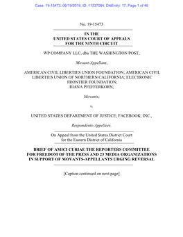 The Amicus Brief