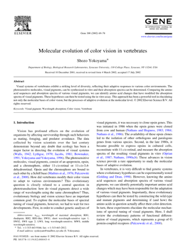 Molecular Evolution of Color Vision in Vertebrates