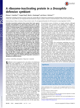 A Ribosome-Inactivating Protein in a Drosophila Defensive Symbiont