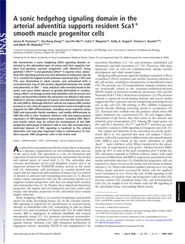 A Sonic Hedgehog Signaling Domain in the Arterial Adventitia Supports Resident Sca1؉ Smooth Muscle Progenitor Cells