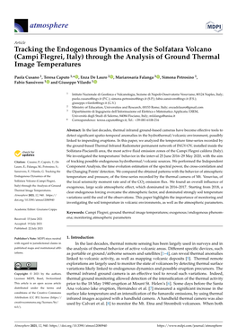 Tracking the Endogenous Dynamics of the Solfatara Volcano (Campi Flegrei, Italy) Through the Analysis of Ground Thermal Image Temperatures