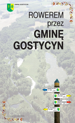 Gminę Gostycyn