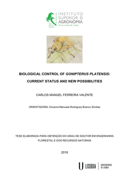 Biological Control of Gonipterus Platensis
