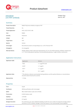 Anti-FHIT Antibody (ARG58030)