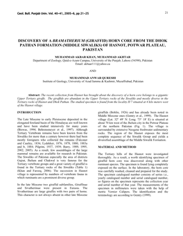 Discovery of a Bramatherium (Giraffid) Horn-Core From