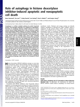 Role of Autophagy in Histone Deacetylase Inhibitor-Induced Apoptotic and Nonapoptotic Cell Death