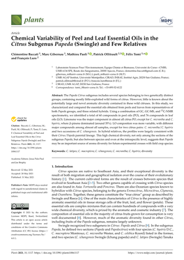 Chemical Variability of Peel and Leaf Essential Oils in the Citrus Subgenus Papeda (Swingle) and Few Relatives