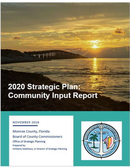2020 Strategic Plan Community Input Report