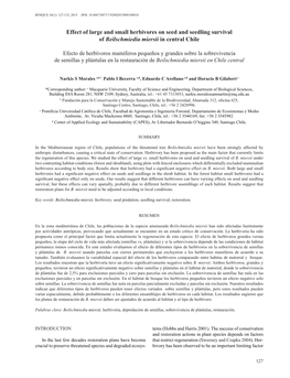 Effect of Large and Small Herbivores on Seed and Seedling Survival of Beilschmiedia Miersii in Central Chile