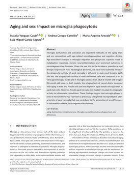 Aging and Sex: Impact on Microglia Phagocytosis