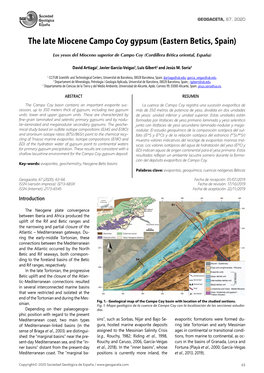 The Late Miocene Campo Coy Gypsum (Eastern Betics, Spain)