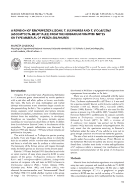 A Revision of Trichopeziza Lizonii, T. Sulphurea and T