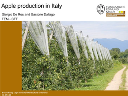 Apple Production in Italy