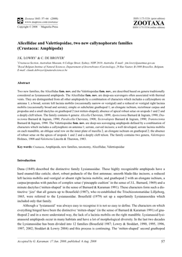 Zootaxa 1843: 57–66 (2008) ISSN 1175-5326 (Print Edition) ZOOTAXA Copyright © 2008 · Magnolia Press ISSN 1175-5334 (Online Edition)